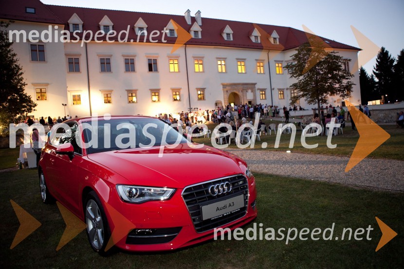 3. Salon Traminec 2012