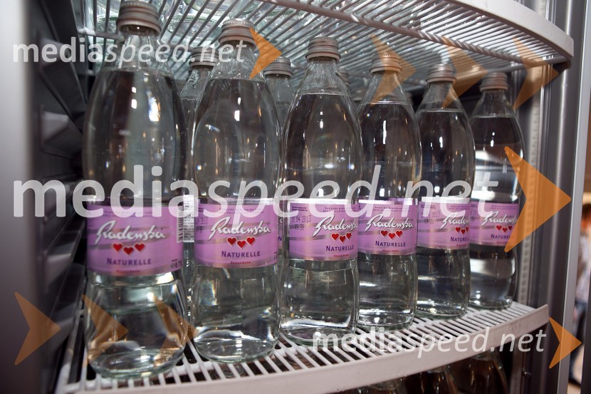 Radenska3. Salon Traminec 2012