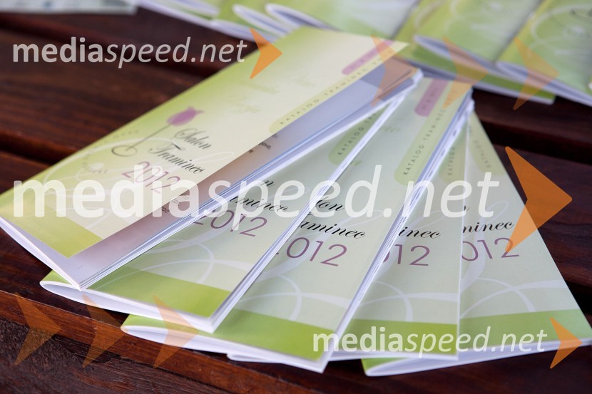 Katalog Salon Traminec3. Salon Traminec 2012