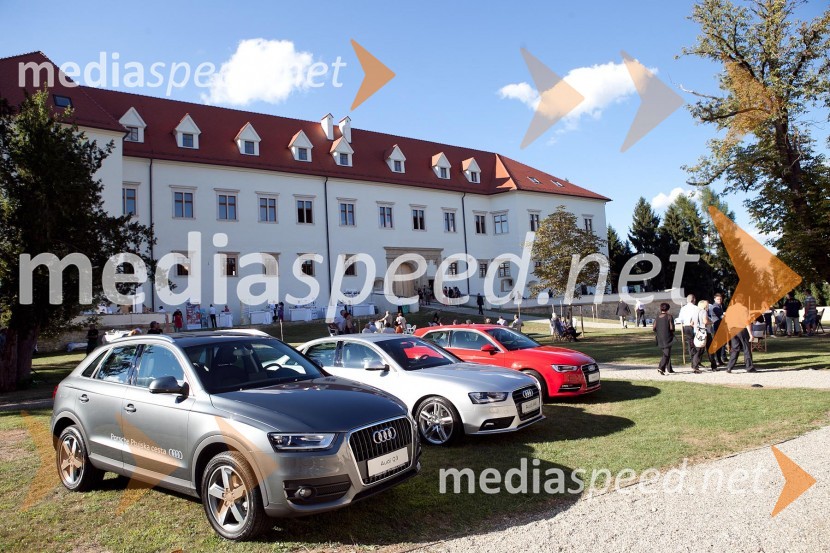 Grad Negova, 3. Salon Traminec 20123. Salon Traminec 2012