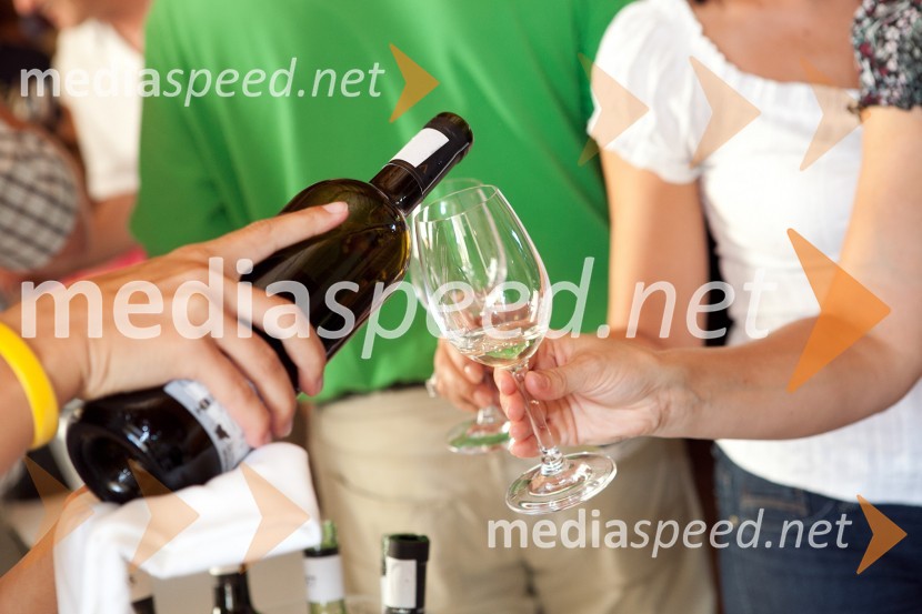 Traminec3. Salon Traminec 2012