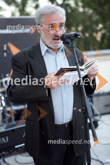 Ivo Frbežar, pesnik3. Salon Traminec 2012