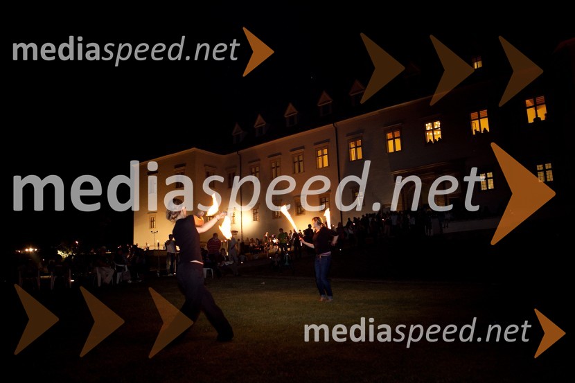 Maja Črešnik in Neža Cigler, poulični umetnici3. Salon Traminec 2012