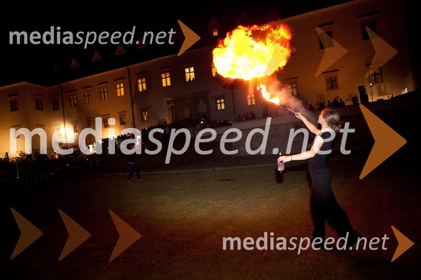 Maja Črešnik, poulična umetnica3. Salon Traminec 2012