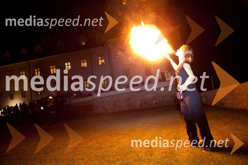 Maja Črešnik, poulična umetnica3. Salon Traminec 2012