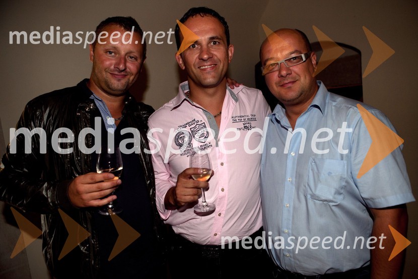 ..., Borut Jelen, Ekstra olje in ...3. Salon Traminec 2012