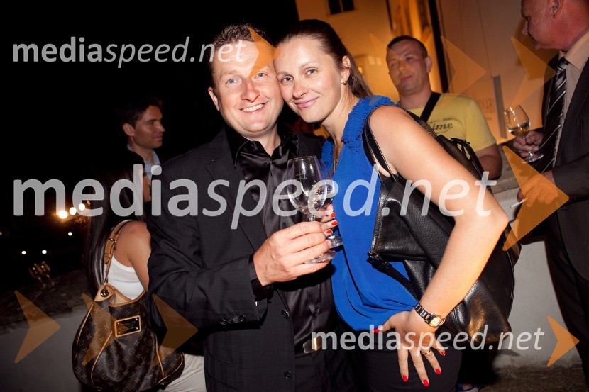 Danilo Steyer, Steyer vina in ...3. Salon Traminec 2012