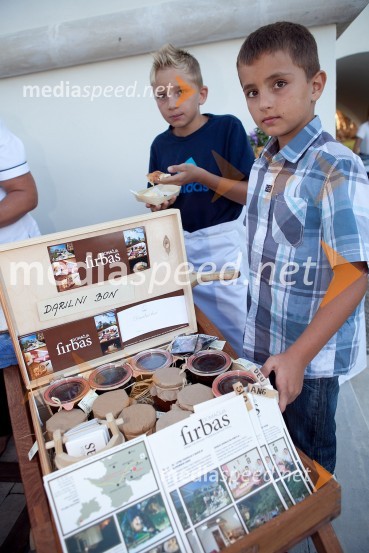 3. Salon Traminec 2012