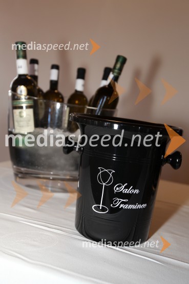 Traminec3. Salon Traminec 2012