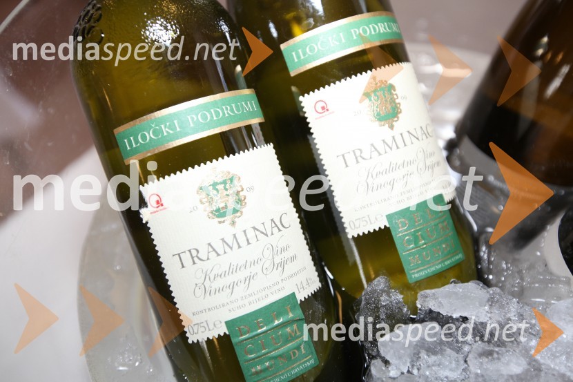 Traminec3. Salon Traminec 2012