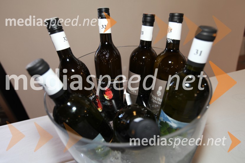 Traminec3. Salon Traminec 2012