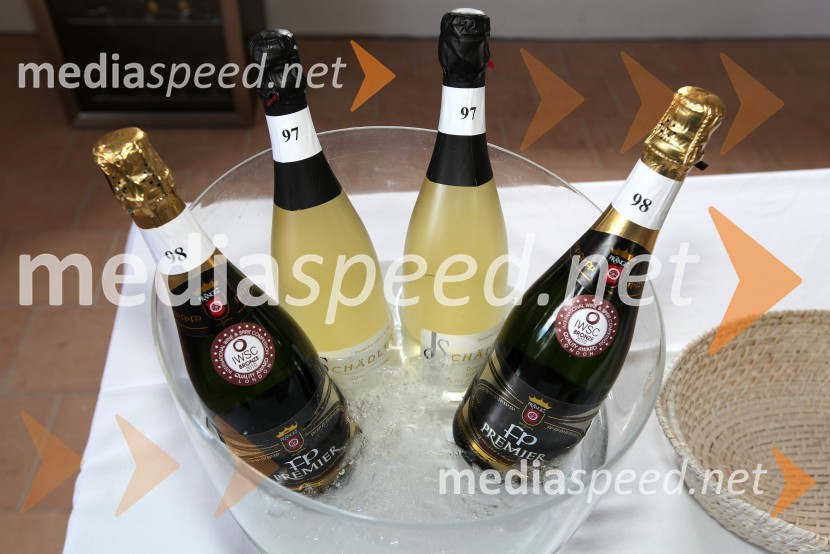 Traminec3. Salon Traminec 2012