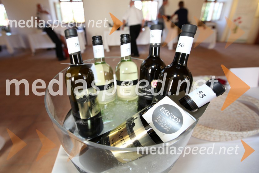 Traminec3. Salon Traminec 2012