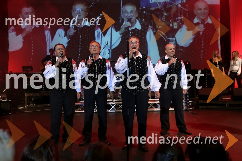 Pevska skupina Fantje s PraprotnaPop design, zaključni koncert