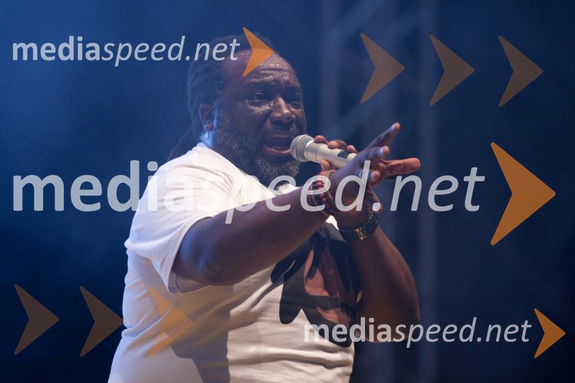 Steve Edwards, glasbenik12. Ritem mladosti