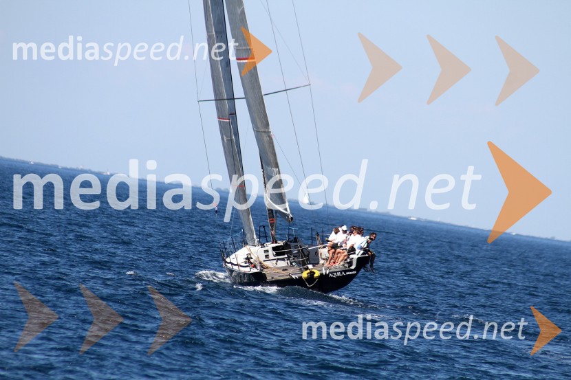 10. diplomatska regata