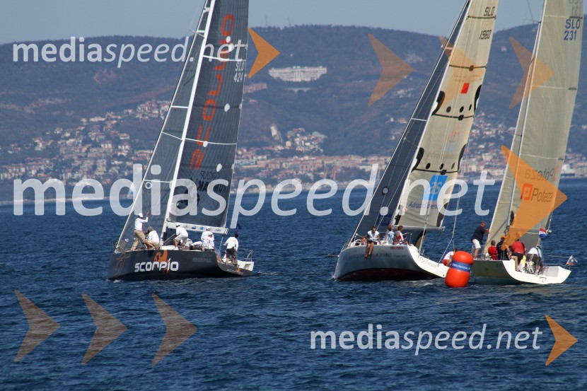 10. diplomatska regata