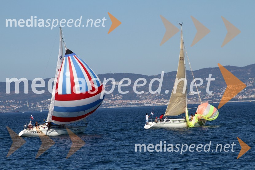 10. diplomatska regata