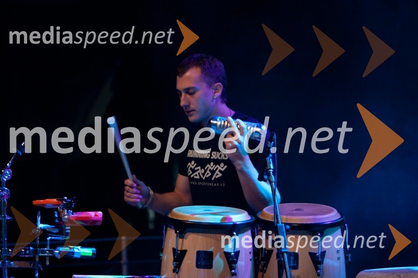 Član skupine GitarsiNočni tek na Ljubljanski grad 2012