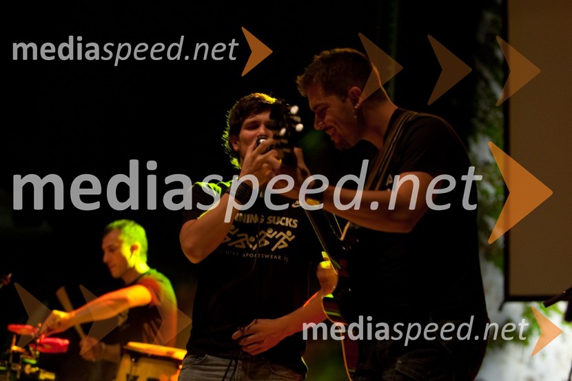 Član skupine GitarsiNočni tek na Ljubljanski grad 2012