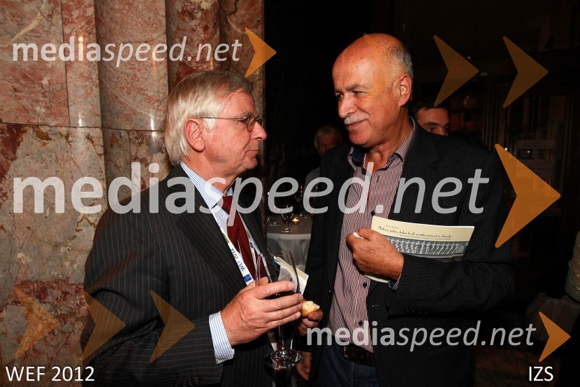 WEF 2012 – World Engineering Forum