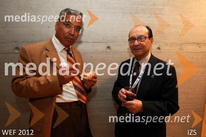 WEF 2012 – World Engineering Forum