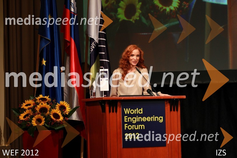 WEF 2012 – World Engineering Forum