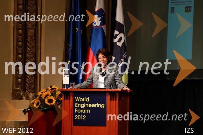 WEF 2012 – World Engineering Forum