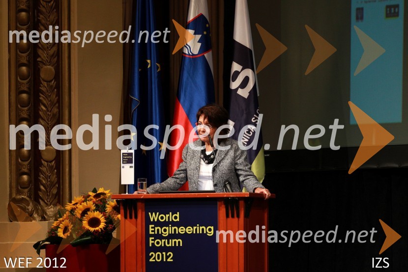 WEF 2012 – World Engineering Forum