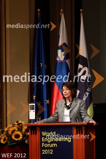 WEF 2012 – World Engineering Forum