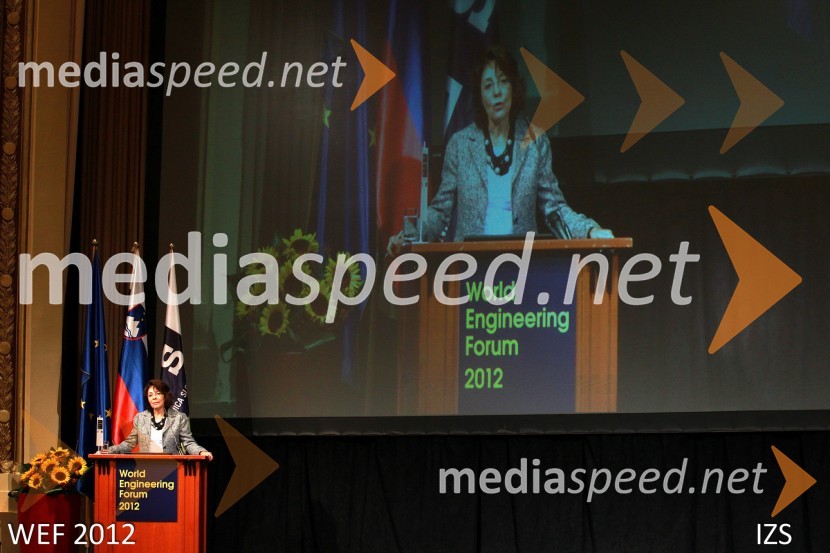 WEF 2012 – World Engineering Forum