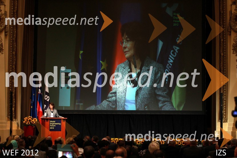 WEF 2012 – World Engineering Forum