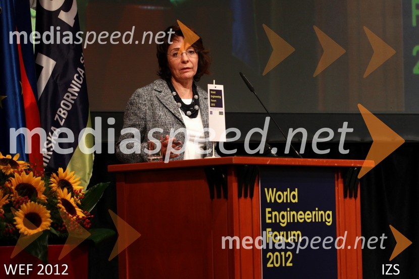 WEF 2012 – World Engineering Forum