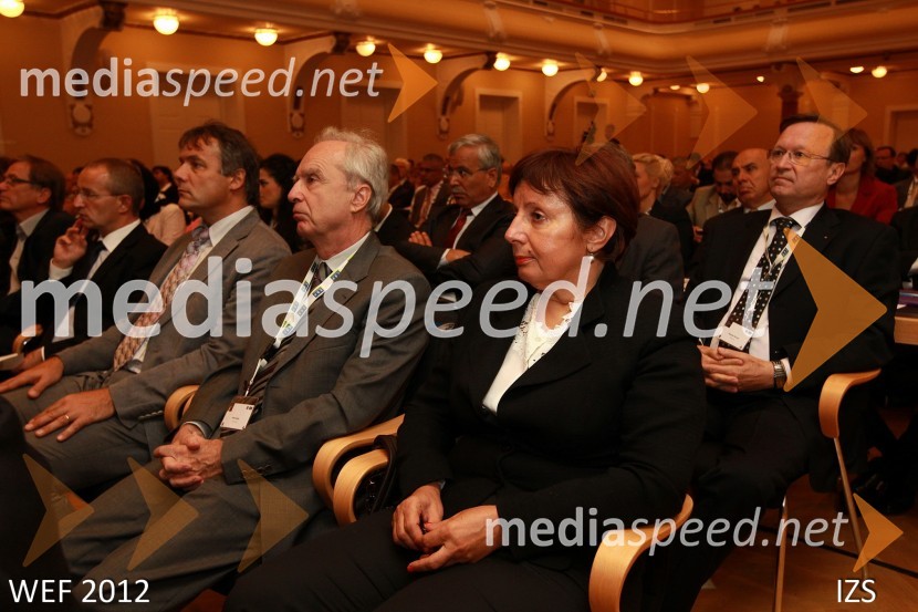 WEF 2012 – World Engineering Forum