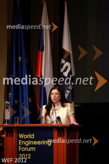 WEF 2012 – World Engineering Forum