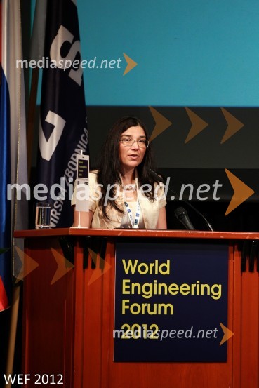 WEF 2012 – World Engineering Forum