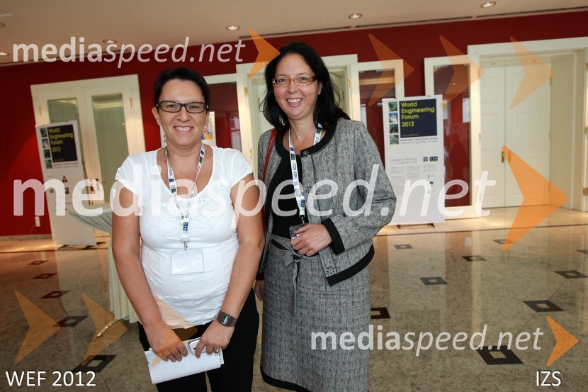 WEF 2012 – World Engineering Forum