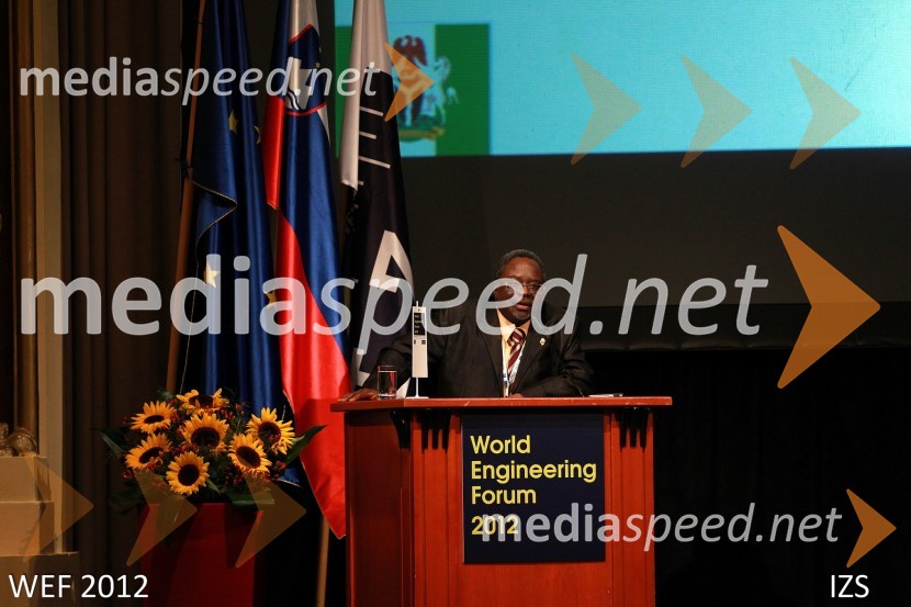 WEF 2012 – World Engineering Forum