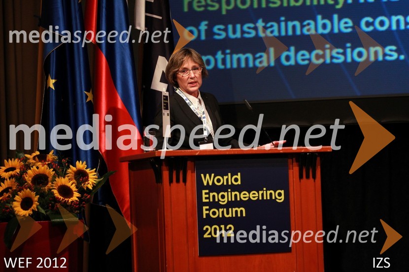 WEF 2012 – World Engineering Forum