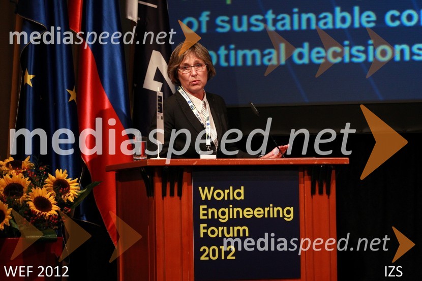 WEF 2012 – World Engineering Forum