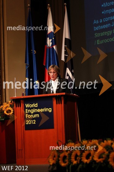 WEF 2012 – World Engineering Forum