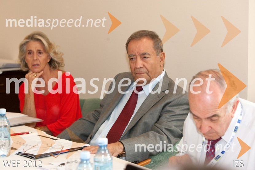 WEF 2012 – World Engineering Forum