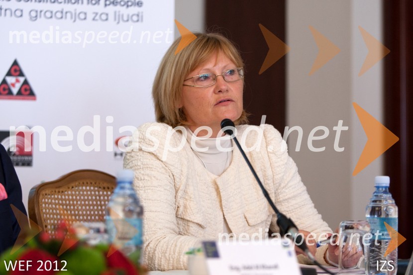 WEF 2012 – World Engineering Forum