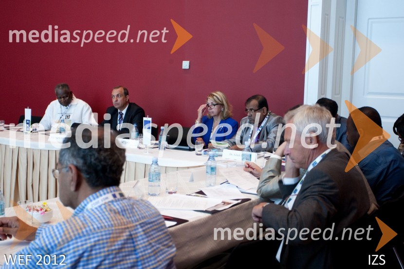 WEF 2012 – World Engineering Forum