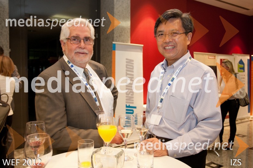 WEF 2012 – World Engineering Forum