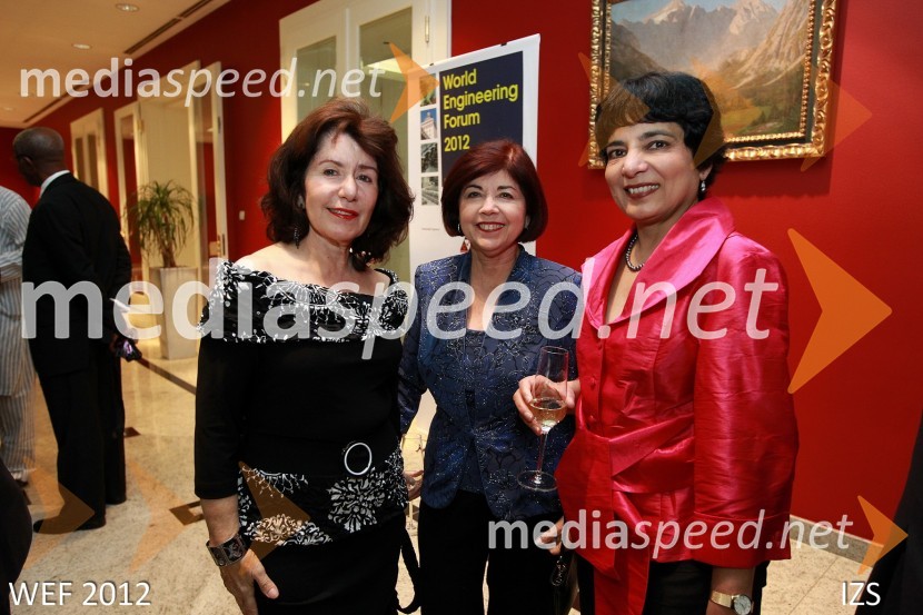 WEF 2012 – World Engineering Forum