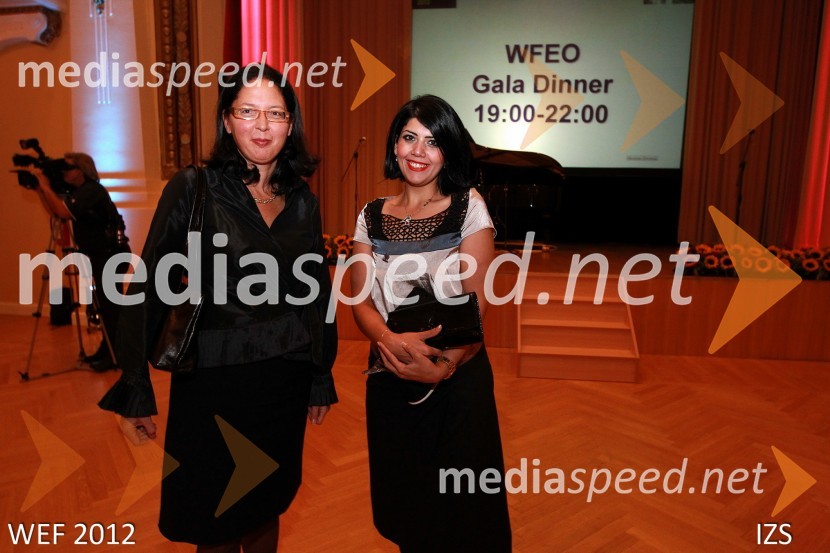 WEF 2012 – World Engineering Forum
