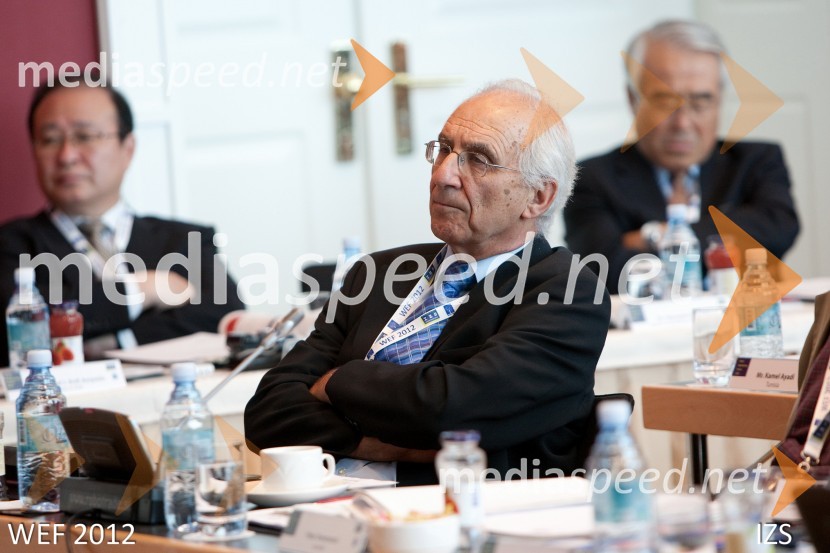 WEF 2012 – World Engineering Forum