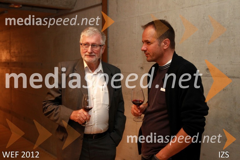 WEF 2012 – World Engineering Forum