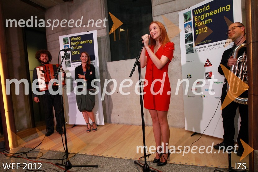 WEF 2012 – World Engineering Forum